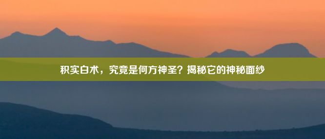 积实白术，究竟是何方神圣？揭秘它的神秘面纱