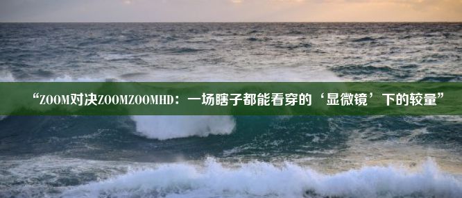 “ZOOM对决ZOOMZOOMHD：一场瞎子都能看穿的‘显微镜’下的较量”