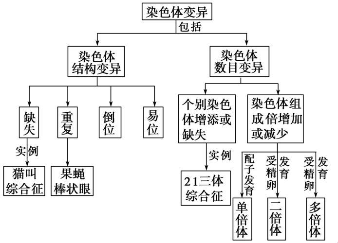 嘘！告诉你个“惊天秘密”：染色体变异，竟然是这样的！