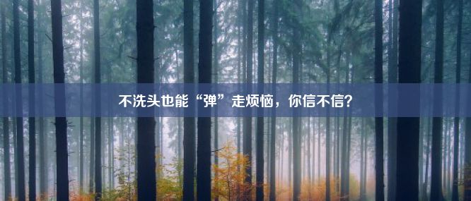 不洗头也能“弹”走烦恼，你信不信？