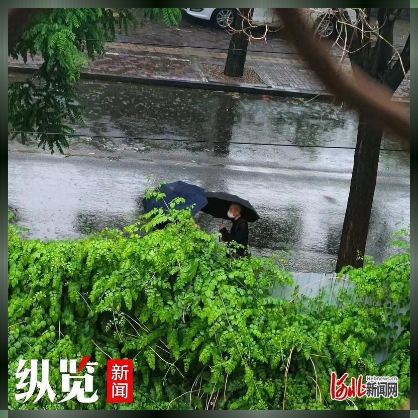 外回り中に突然の大雨一雨宿：笑看天公不作美