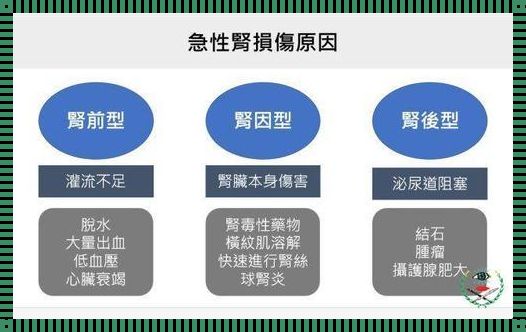 “急性肾衰竭能恢复吗”——揭秘生命的“魔法”