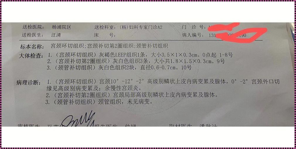 《LEEP手术后，我的病毒载量竟成了“网红”》