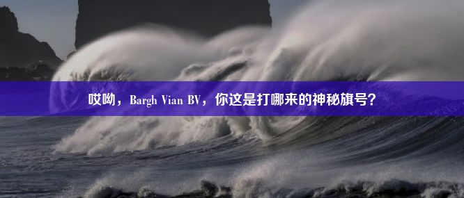 哎呦，Bargh Vian BV，你这是打哪来的神秘旗号？