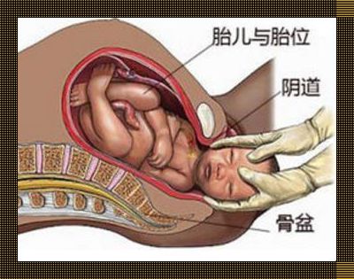 生孩子疼还是蛋疼厉害？探讨人类疼痛的奥秘