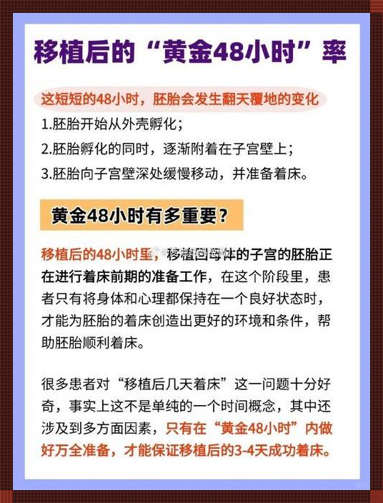 《移苗攻略：试管婴儿的“种瓜得瓜”艺术》