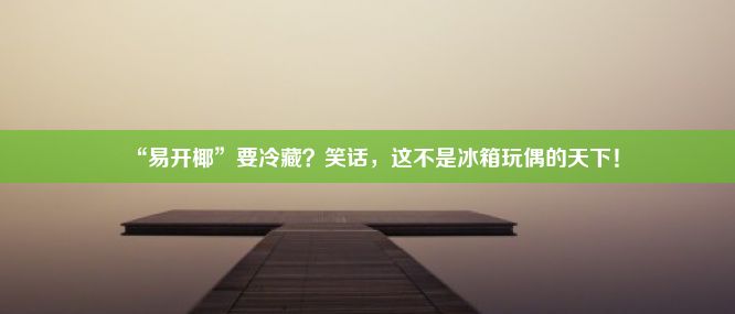 “易开椰”要冷藏？笑话，这不是冰箱玩偶的天下！