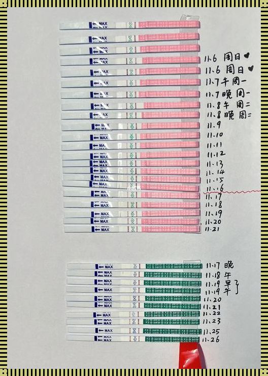 排软试纸和早早孕试纸，这不是一个笑话！