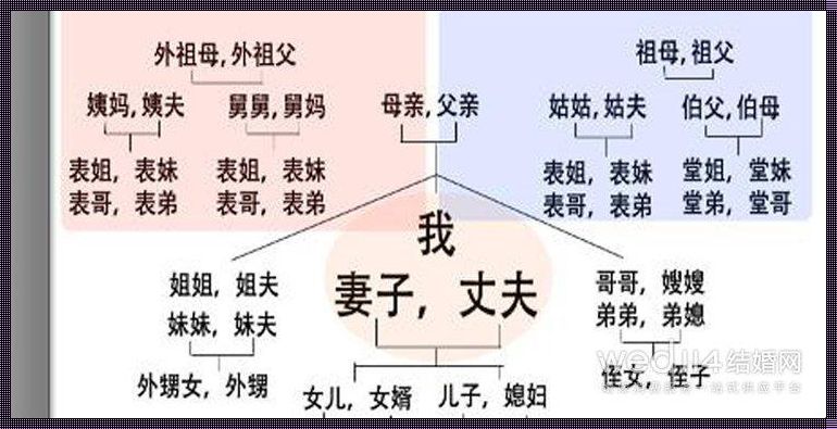 婚礼缺席者的五大“豪杰”：笑谈中的讽刺