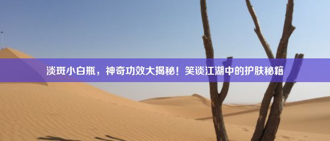 淡斑小白瓶，神奇功效大揭秘！笑谈江湖中的护肤秘籍