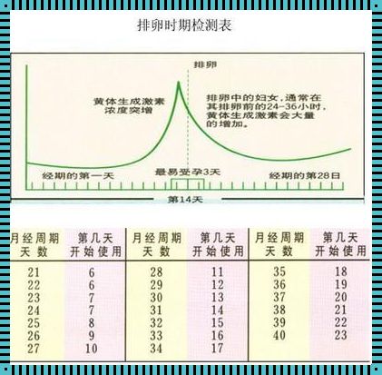 排卵监测，周期如唐僧取经漫漫路