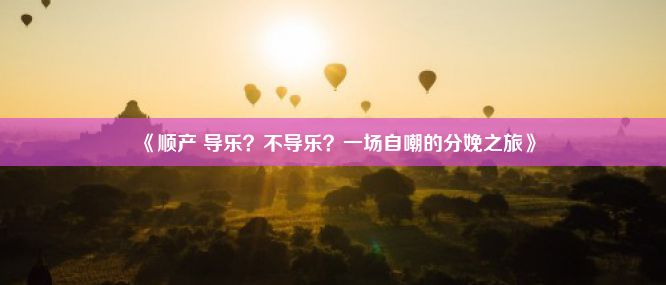 《顺产 导乐？不导乐？一场自嘲的分娩之旅》