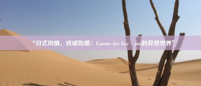 “日式风情，戏谑如潮：Comme des Garçons的异想世界”