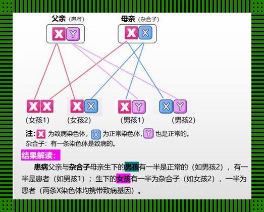 蚕豆病，遗传的“甜头”你尝过吗？