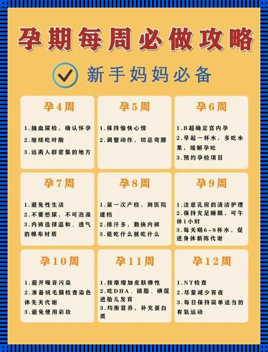 “孕24周，腰围赛大象，注意事项多到爆表！”