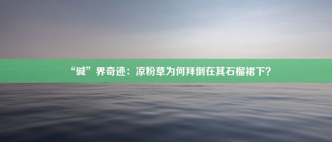 “碱”界奇迹：凉粉草为何拜倒在其石榴裙下？