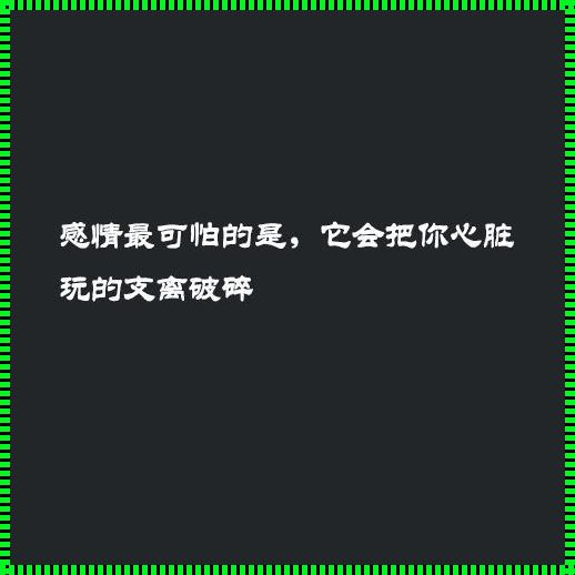 “融为一体”的魔性与舒适度探究：一场键盘侠的幽默独行