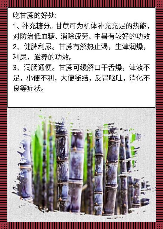 《甘蔗界的小人物：用途多，苦中带甜》