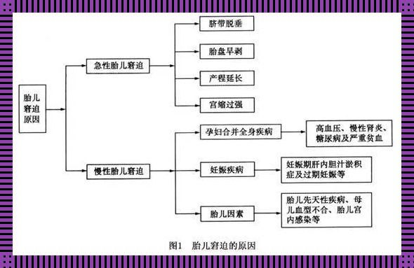 “胎”囧：揭秘胎儿窘迫的奇异病因