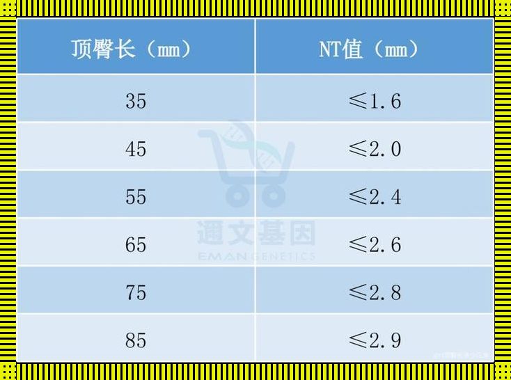 “NT头臀比”揭秘：笑谈女性曲线之谜