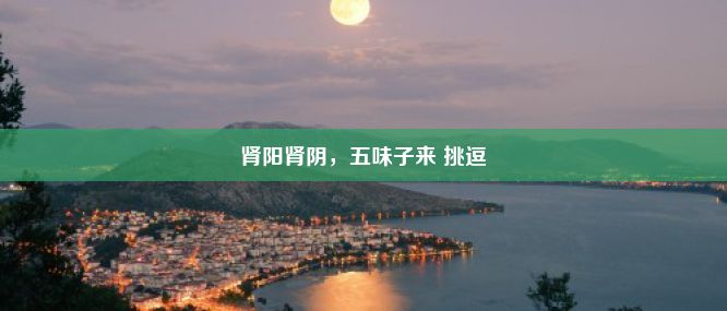 肾阳肾阴，五味子来 挑逗