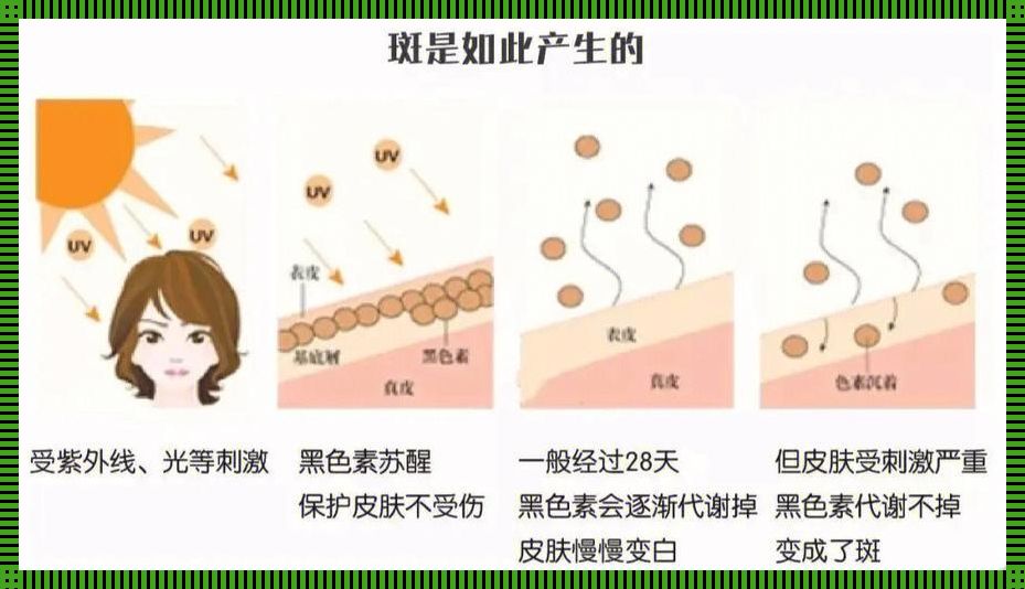 黑化攻略：诡辩增多黑色素之术