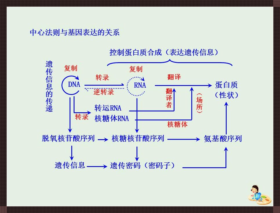 基因大玩家：操控生物性状的神秘力量