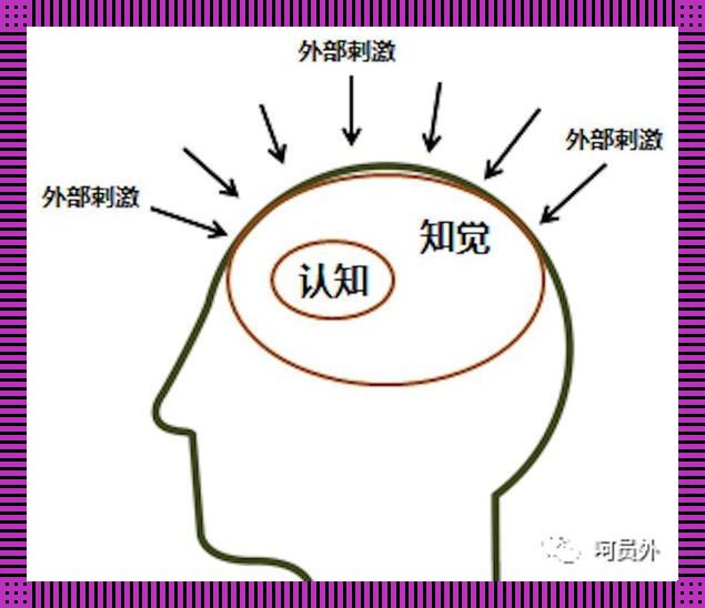 意识，是认知王国的“霸王”还是“跑龙套”？