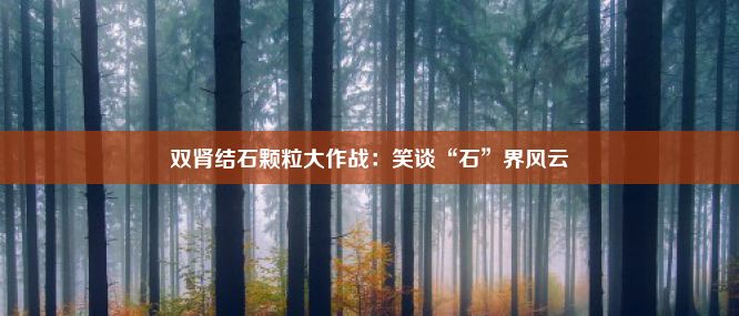 双肾结石颗粒大作战：笑谈“石”界风云