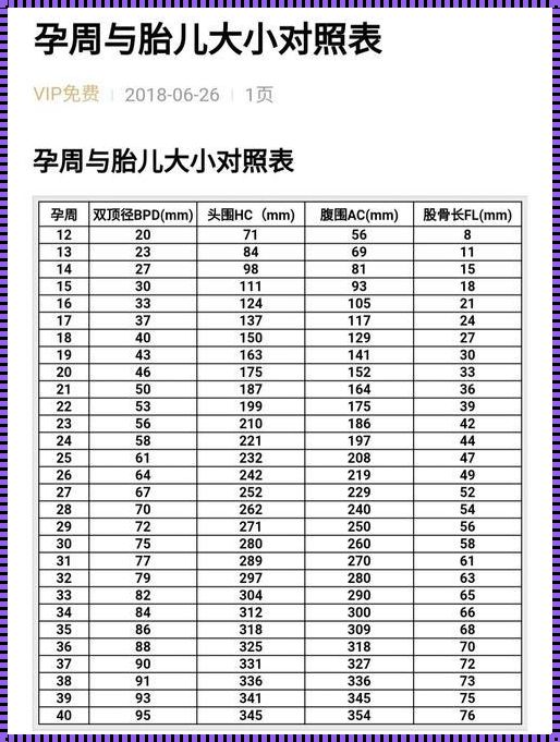 “头围宝宝”成长记：孕周那些事儿