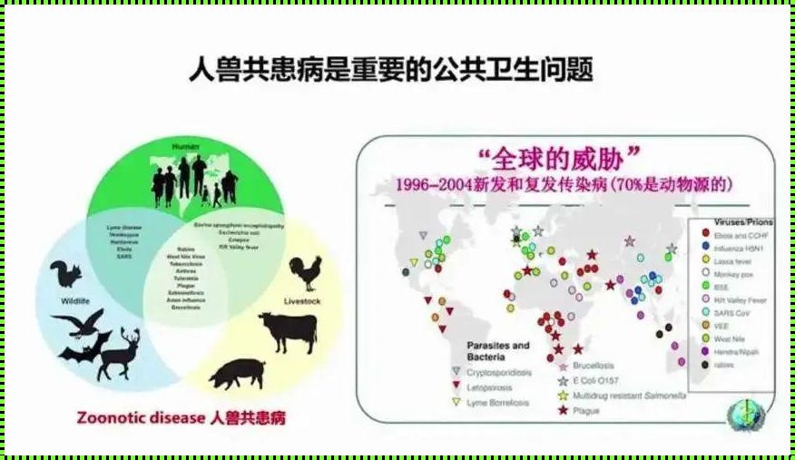 《人禽之间：笑谈共性与尴尬时刻》