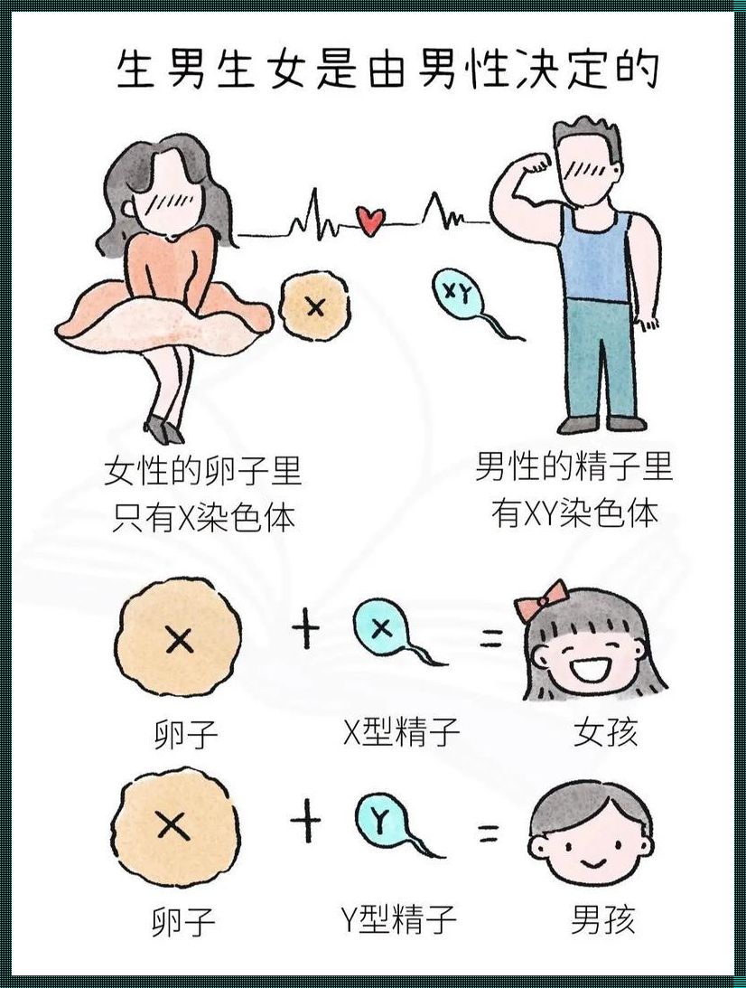 “怀女孩懒月”谜团：是懒神附体还是孕味十足？