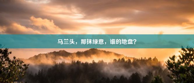 马兰头，那抹绿意，谁的地盘？