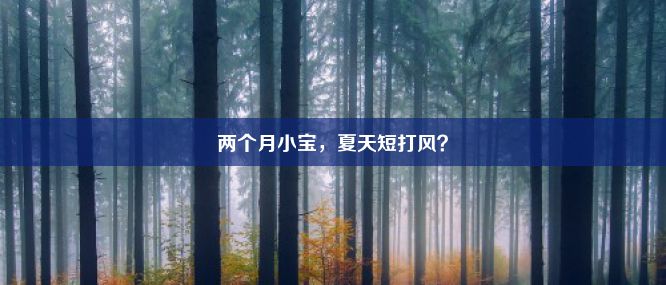 两个月小宝，夏天短打风？