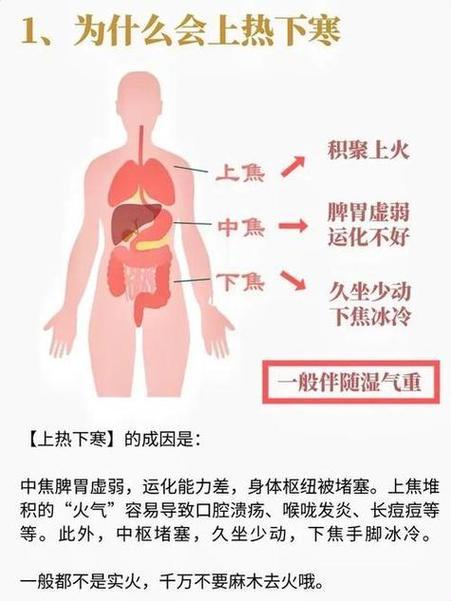 “脾胃湿热十大症状”演绎版：女神的秘密困境