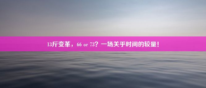 13斤变革，66 or 73？一场关乎时间的较量！