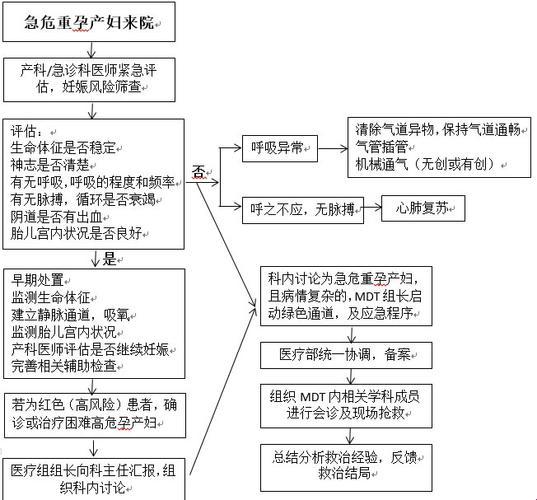 “高危孕产妇急诊救治流程图”这场戏，我竟成了主角？