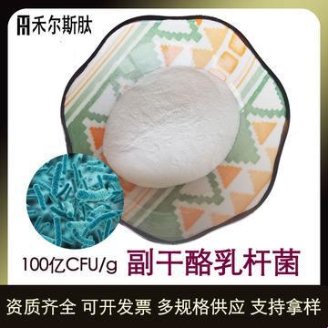 副干酪乳杆菌GL156，你是个什么鬼？