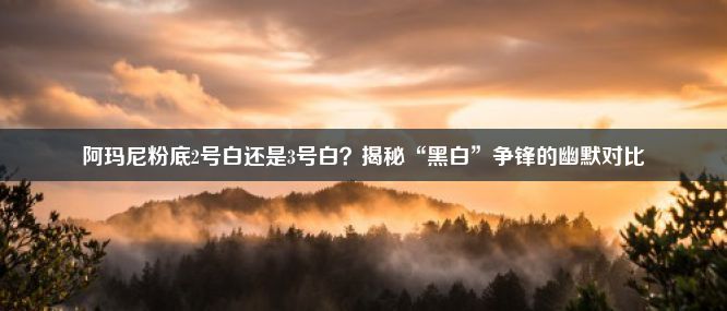 阿玛尼粉底2号白还是3号白？揭秘“黑白”争锋的幽默对比